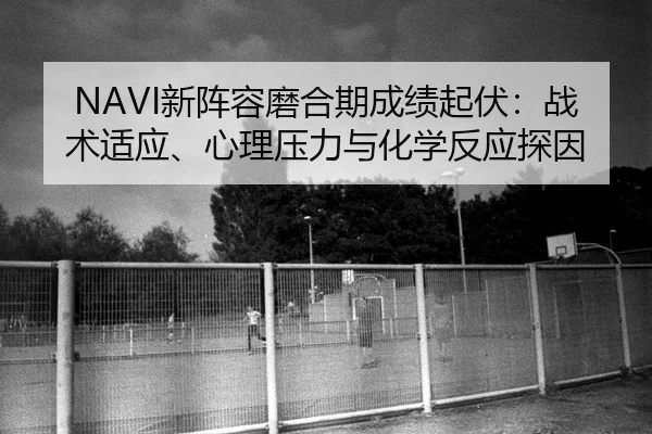 NAVI新阵容磨合期成绩起伏：战术适应、心理压力与化学反应探因